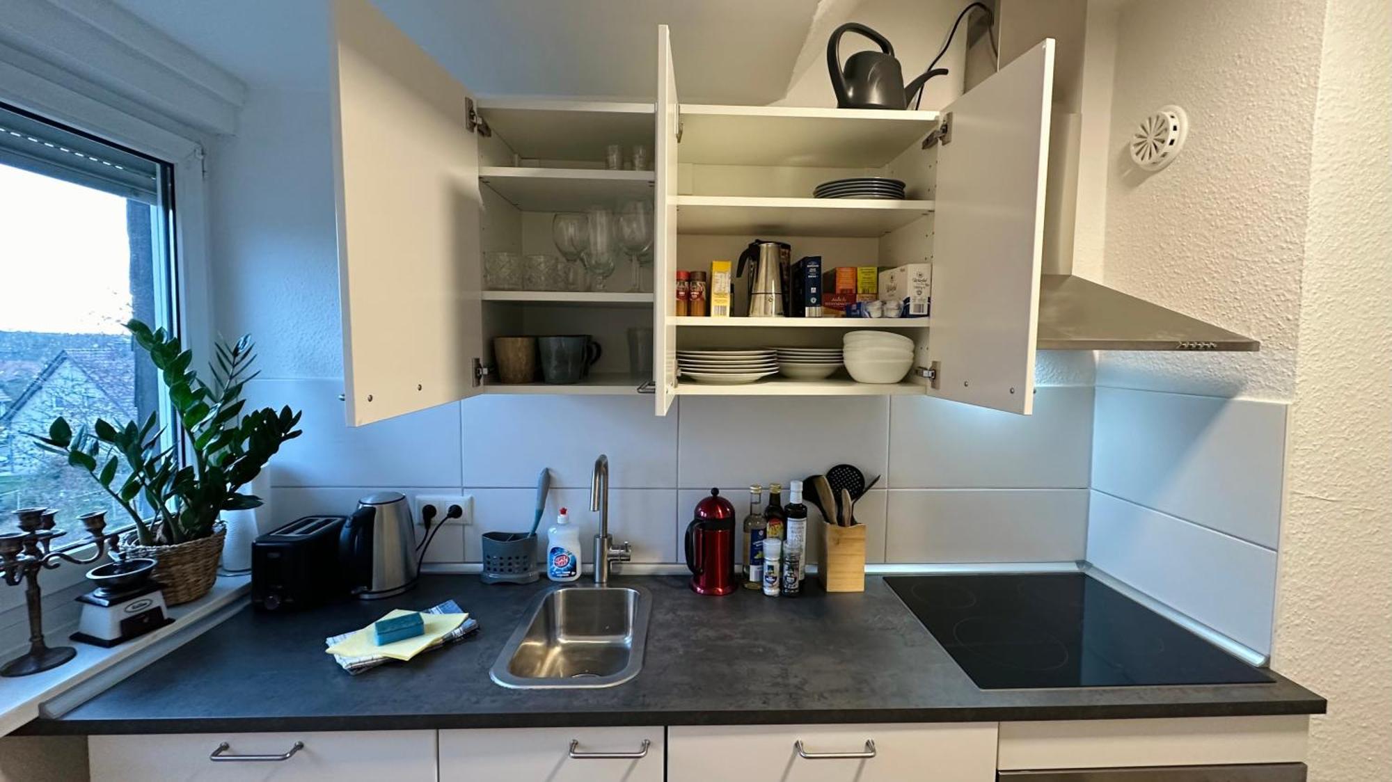 Micasa Tuсasa - 2-R-Apartment Leipziger Neuseenland Hydra Borna Εξωτερικό φωτογραφία